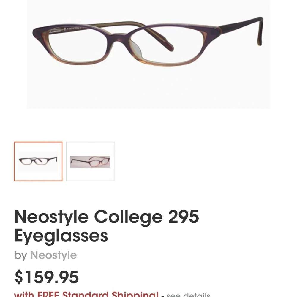 Excellent condition, almost new Neostyle college 295 eyeglass frames